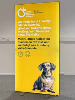 Ljusbox med 1 sektion.