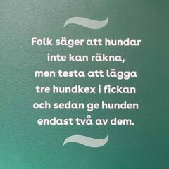 Utskuren vinyl med text i vitt och infärgade symboler, applicerade på en grönmålad pelare.