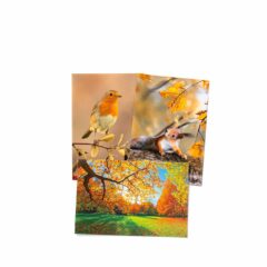 4-sidiga julkort/foldrar i A6-format.